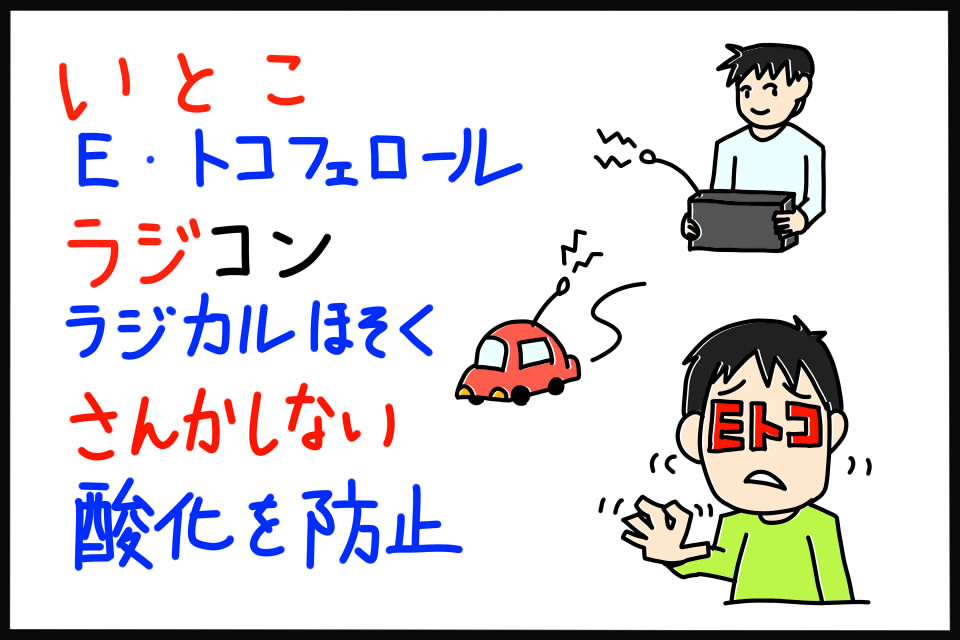 衛生学におけるビタミンE特徴ゴロイラスト